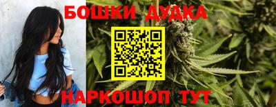 стафф Будённовск