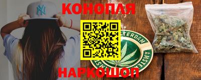 стафф Будённовск