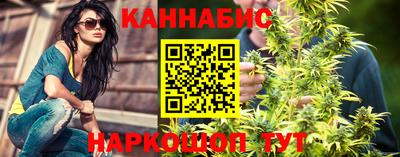 стафф Будённовск