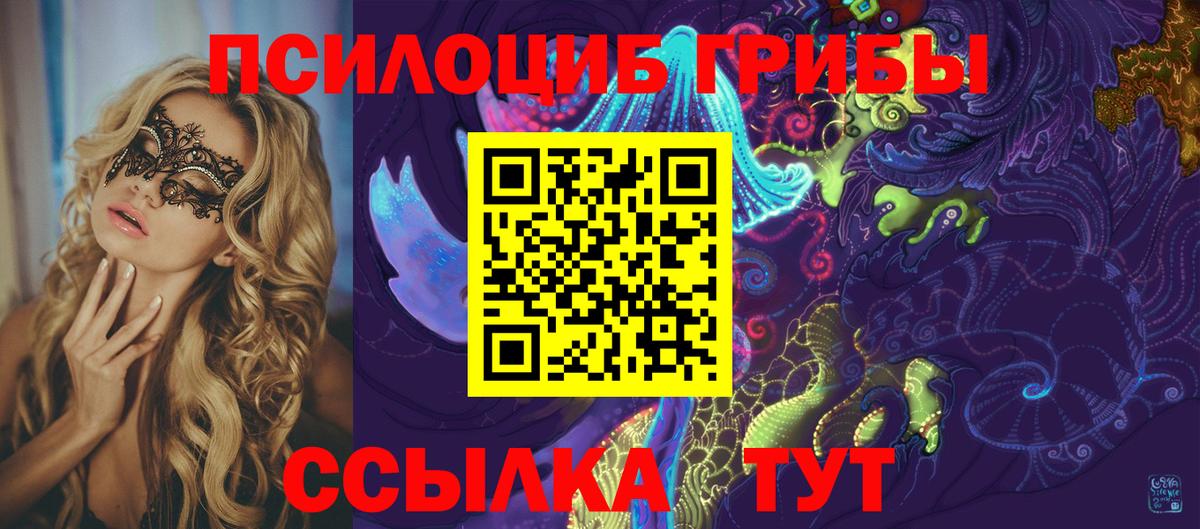 Псилоцибиновые грибы Psilocybe Барнаул